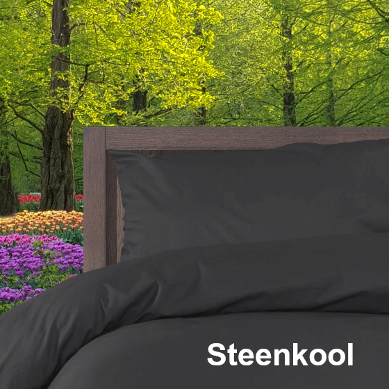 40 Dekbedovertrek 34 Double Face effen Steenkool Alpa Bedden Tussen de Wol